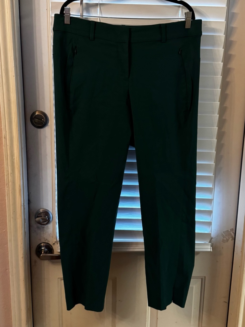 Lane Bryant Teal Pants